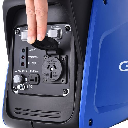 NNEDSZ 800w Pure Sine Wave Inverter Generator